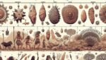 ¿Cuáles son las 4 etapas del arte prehistórico?